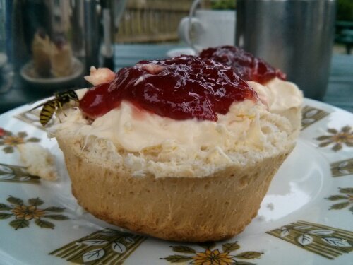 Wasp Cream Tea